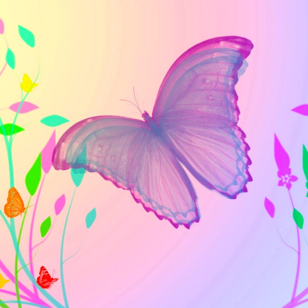 Meet your Posher, Karen